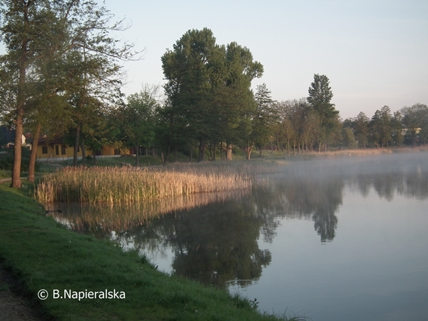 Miedzychód